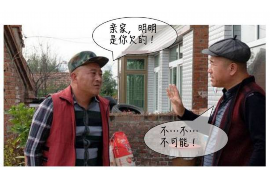 田东债务清欠服务